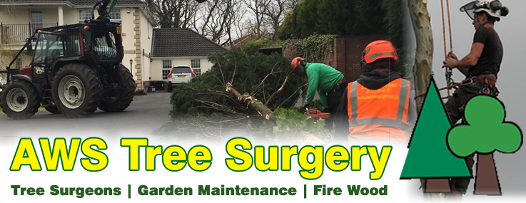 Tree Surgeons and Fire Wood suppliers - AWS Tree Surgery